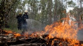 Pożary w Argentynie. Rząd ogłosił stan alarmowy w całym kraju